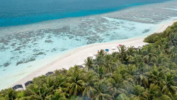 beach, bikini-beach, drone-shot, local-island, nature - Stunning aerial drone view of the turquoise lagoon, white sandy beach, and palm trees on Thinadhoo Island, Vaavu Atoll.