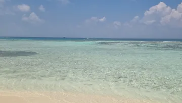 beach, local-island, nature, reef, sea, sky - View of the transparent turquoise lagoon and coral reef at Thinadhoo Island in the Vaavu Atoll under a sunny sky.