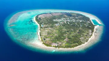 drone-shot, local-island, nature, sea - Incredibile vista aerea dell'isola locale di Thoddoo alle Maldive, che mostra le sue rigogliose fattorie e barriera.