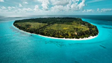 drone-shot, local-island, nature, sea - Splendida vista aerea di Thoddoo, con le sue piantagioni verdi e la spiaggia bianca circondate dal mare cristallino