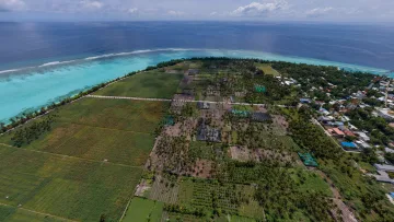 drone-shot, local-island, nature - Veduta aerea dell'isola di Thoddoo alle Maldive che mostra estesi campi agricoli e palme vicino al mare