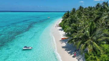 beach, drone-shot, local-island, nature, sea - Ripresa aerea con drone della laguna turchese, spiaggia bianca, palme e una moto d'acqua sull'isola locale di Thoddoo.