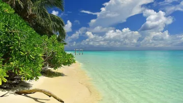 beach, local-island, nature - Una splendida spiaggia di sabbia bianca sull'isola di Thoddoo, con alberi tropicali, un'altalena nell'acqua turchese e un cielo azzurro.