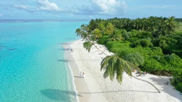 beach, bikini-beach, drone-shot, local-island, nature, sea - Veduta aerea della splendida Bikini Beach di sabbia bianca sull'isola di Thoddoo con una coppia che cammina sul mare turchese