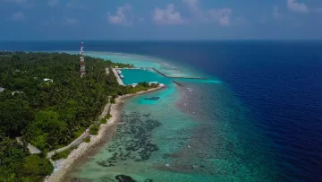 drone-shot, local-island, sea - Veduta aerea del porto dell'isola di Thoddoo con barche al molo circondate dalla laguna turchese e dalla fitta foresta