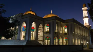 culture, local-island - Bellissima architettura della moschea locale sull'isola di Thoddoo alle Maldive, illuminata contro il cielo notturno.