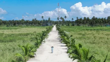 local-island, nature, people - Vista aerea di una donna che cammina su un sentiero sabbioso tra palme e campi agricoli sull'isola di Thoddoo, Atollo di Ari Nord.