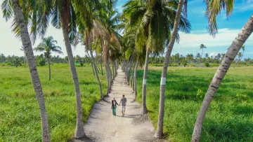 local-island, nature, people - Una coppia che cammina tenendosi per mano lungo un sentiero sterrato tra le palme a Thoddoo, atollo di Alifu Alifu.