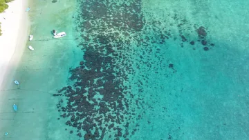 drone-shot, local-island, reef, sea - Vista dal drone che mostra la barriera corallina e le barche ormeggiate sull'isola locale di Thoddoo, Atollo Alifu Alifu.