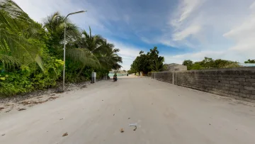 local-island, nature - Una larga strada di sabbia attraversa l'isola locale di Thoddoo tra palme lussureggianti e muri di pietra sotto il cielo.