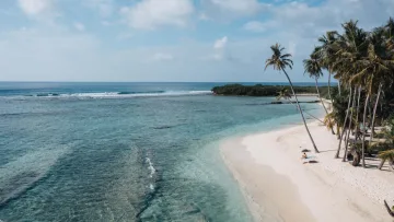 beach, drone-shot, local-island, nature, sea - Vista aerea di una tranquilla spiaggia di sabbia bianca con palme sull'isola locale di Thulusdhoo, atollo Kaafu.