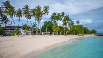 beach, bikini-beach, local-island, nature - Vista della scenografica bikini beach sull'isola di Thulusdhoo, atollo di Kaafu, con alte palme e mare turchese.