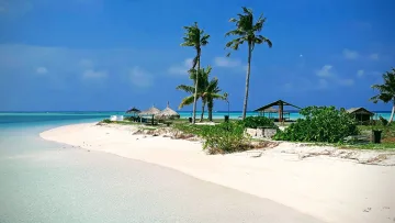 beach, bikini-beach, local-island - Spiaggia di sabbia bianca con palme, ombrelloni in paglia e acqua turchese cristallina sull'isola di Thulusdhoo, atollo di Kaafu.