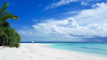 View of the stunning white sand beach on Ukulhas Island, Alifu Alifu Atoll, with lush tropical vegetation and clear sea