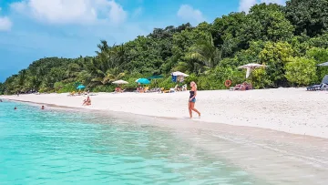 beach, bikini-beach, local-island, nature, people - Persone che si rilassano sulla spiaggia Bikini di Ukulhas, Atollo di Alifu Alifu, circondata da palme tropicali.