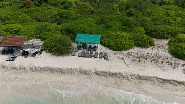 beach, bikini-beach, drone-shot, local-island - Aerial view of sun loungers under green shade on Vashafaru Island beach, Haa Alifu Atoll, surrounded by nature.