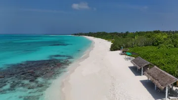 beach, bikini-beach, drone-shot, local-island, nature - Aerial view of the white sand beach and turquoise water on Vashafaru Island in Haa Alifu Atoll, Maldives.