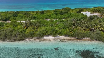 drone-shot, local-island, nature - Aerial drone perspective showing the lush vegetation and crystal clear turquoise lagoon of Vashafaru Island, Haa Alifu.