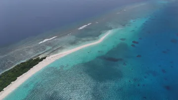 beach, drone-shot, local-island, nature, sea - Stunning aerial drone view of the long white sandbank at Vashafaru local island in Haa Alifu Atoll, Maldives.