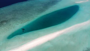 beach, drone-shot, nature, sea - Aerial drone shot of the beautiful white sandbank at Madivaru Finolhu in Rasdhoo Atoll surrounded by turquoise sea