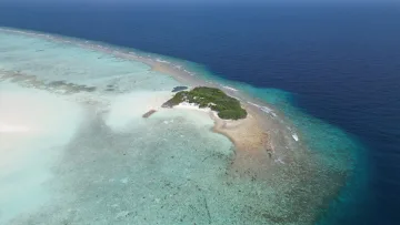 drone-shot, local-island, nature, reef - Aerial drone shot of Madivaru island and reef next to Rasdhoo in North Ari Atoll, featuring turquoise lagoon waters.