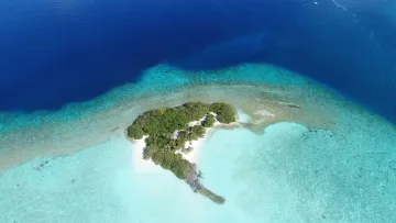 drone-shot, nature, reef, sea - Drone shot of the lush Madivaru sandbank surrounded by vibrant turquoise water near Rasdhoo island in Alifu Alifu Atoll