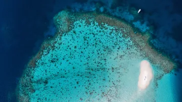 drone-shot, nature, reef, sea - Aerial view showing the transition from shallow turquoise coral reef water to the deep dark blue ocean drop off