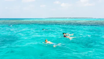 activity, people, sea, snorkeling, sky - Turisti che indossano maschere e boccagli nuotano insieme nel limpido oceano turchese sotto un cielo soleggiato.