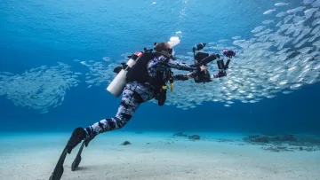 activity, people, underwater - Professional scuba diver using a specialized underwater camera rig to capture footage of a large school of silver fish.