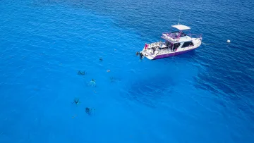 activity, drone-shot - Aerial view of a white scuba diving boat with people jumping into clear blue ocean waters to explore the reef.