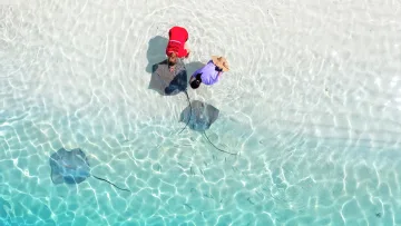 animal, drone-shot, people, sea - Aerial view of two tourists interacting with friendly stingrays in shallow, crystal clear tropical island waters.