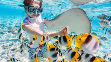 activity, animal, sea, snorkeling, underwater - Una donna fa snorkeling sott'acqua alle Maldive, circondata da pesci tropicali colorati interagendo con una razza.