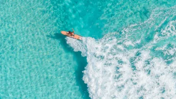 activity, drone-shot, sea - Aerial view of a lone surfer riding a breaking wave in clear turquoise tropical ocean waters, sunny summer day
