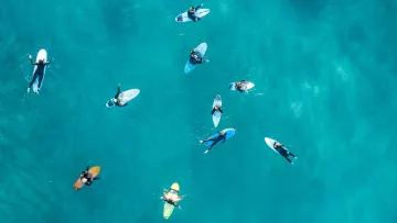 activity, drone-shot, sea - Top-down drone shot of many surfers waiting for waves on colorful surfboards in clear turquoise tropical ocean waters.