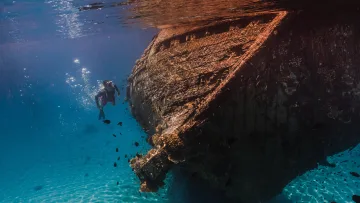 activity, reef, snorkeling, underwater - A snorkeler explores the massive, coral-covered hull of a sunken shipwreck in the clear blue waters of Vaavu Atoll.