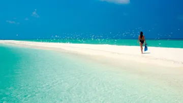 activity, beach, people, sea, snorkeling, sky - Una donna con pinne da snorkeling cammina lungo un banco di sabbia bianca circondata da mare turchese e uccelli bianchi.