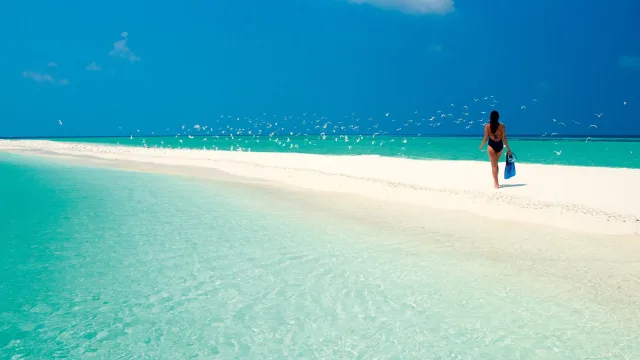 activity, beach, people, sea, snorkeling, sky - A woman carrying snorkeling fins walks along a pristine white sandbank surrounded by turquoise ocean and white birds.