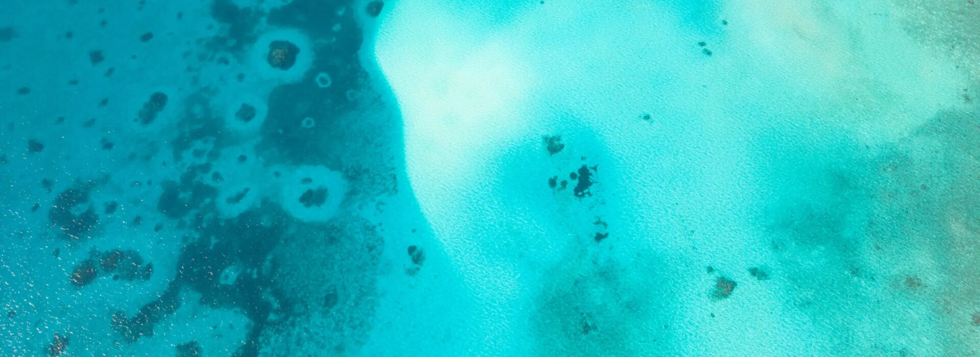 Splendida prospettiva aerea tramite drone di una bassa laguna tropicale turchese con formazioni coralline.