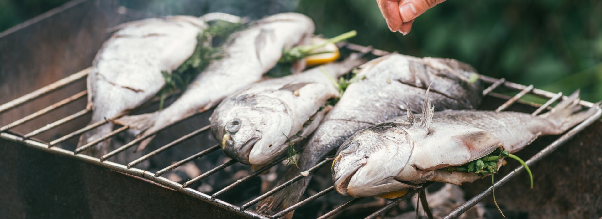 Fishing & Barbecue activity in Maldives