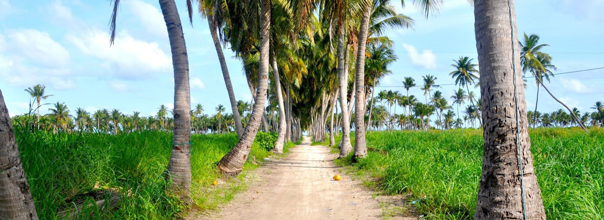 Thoddoo, isola local alle Maldive