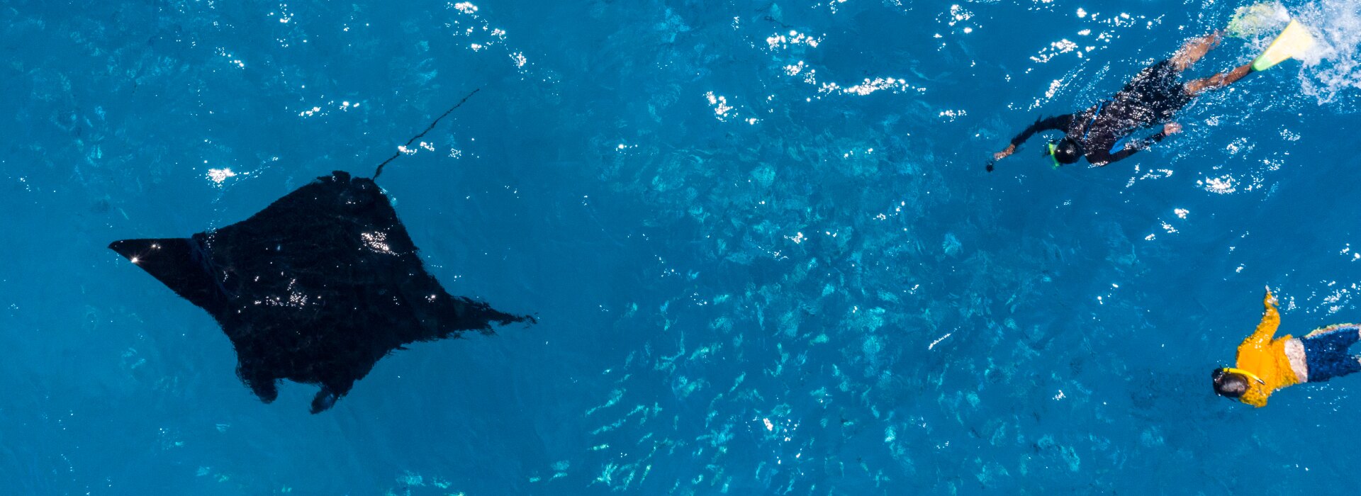 Snorkeling with Mantas activity in Maldives