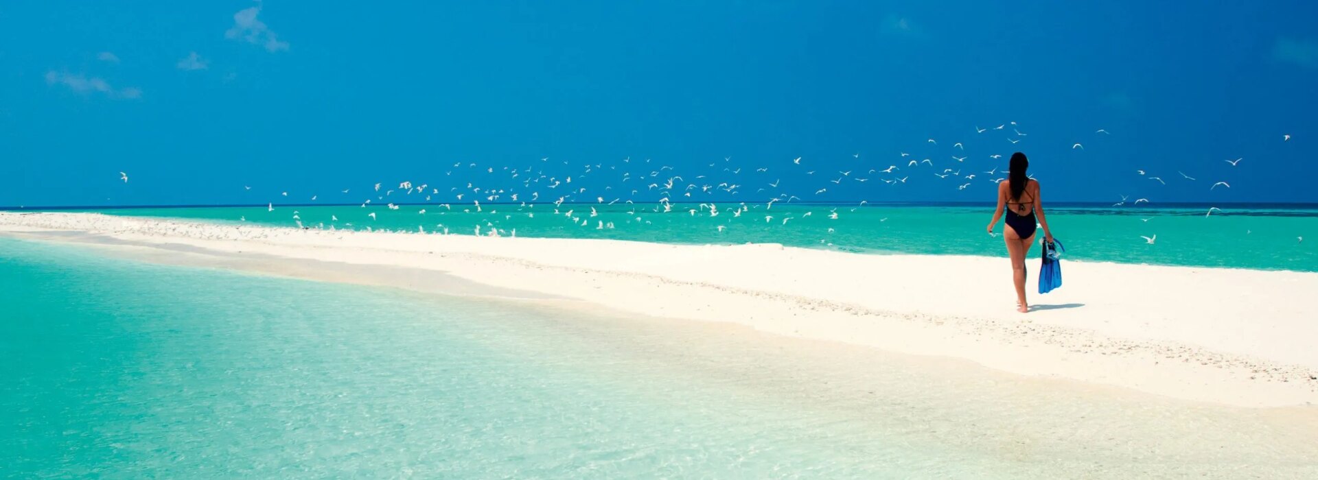 Una donna con pinne da snorkeling cammina lungo un banco di sabbia bianca circondata da mare turchese e uccelli bianchi.