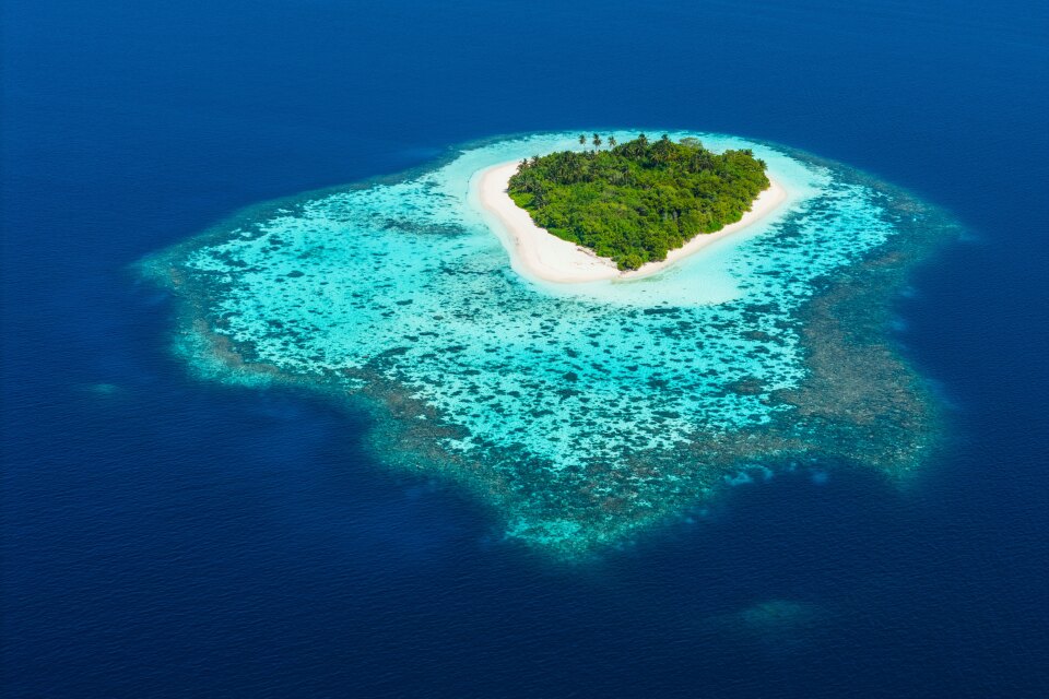 Picnic su isola deserta in the Maldives