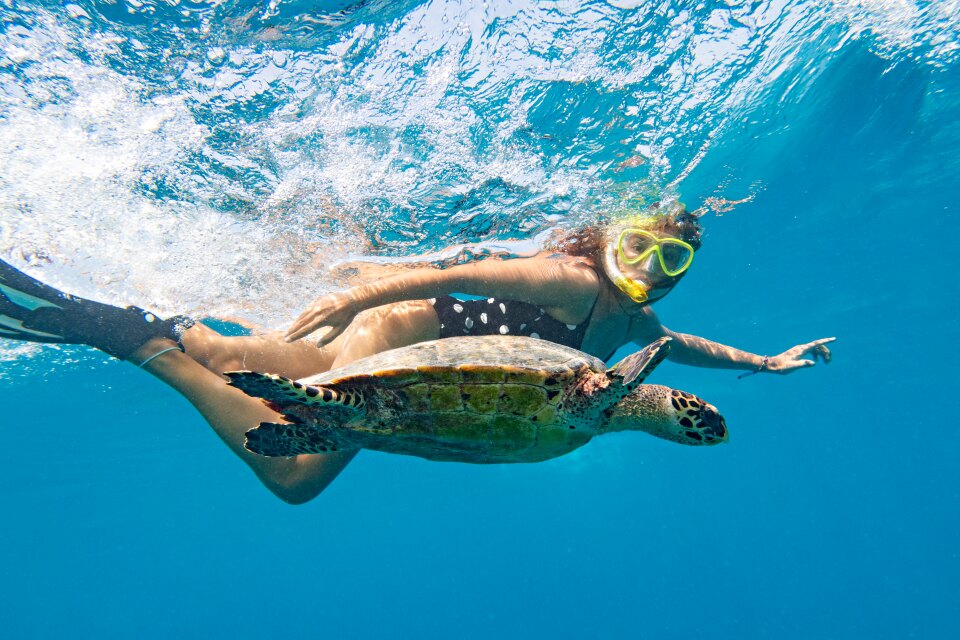 Snorkeling with Turtles in the Maldives