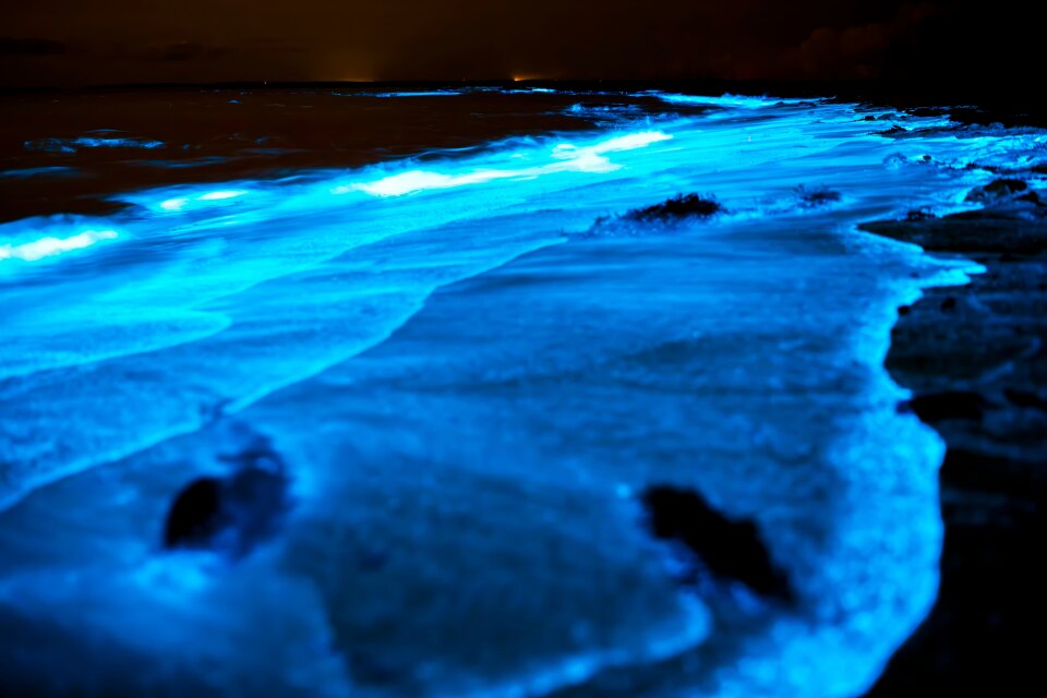 Preview: The Vaadhoo sea of stars: the truth about the glowing beach