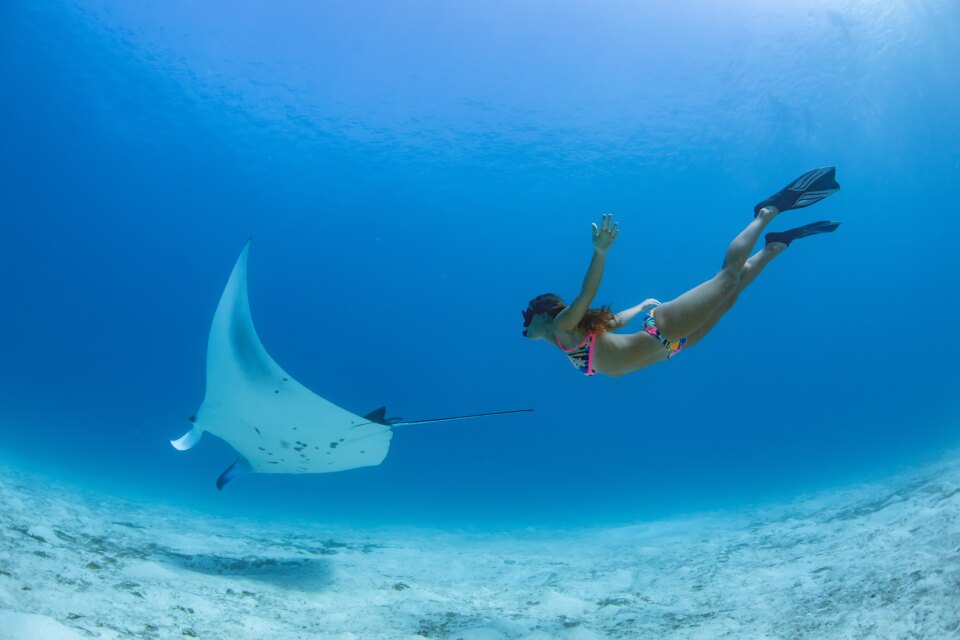 Snorkeling with Mantas in the Maldives