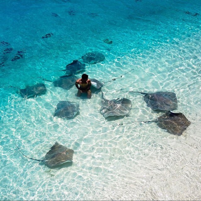 Veduta aerea di un turista che fa snorkeling in acque cristalline circondato da numerose razze nell'atollo di Vaavu.