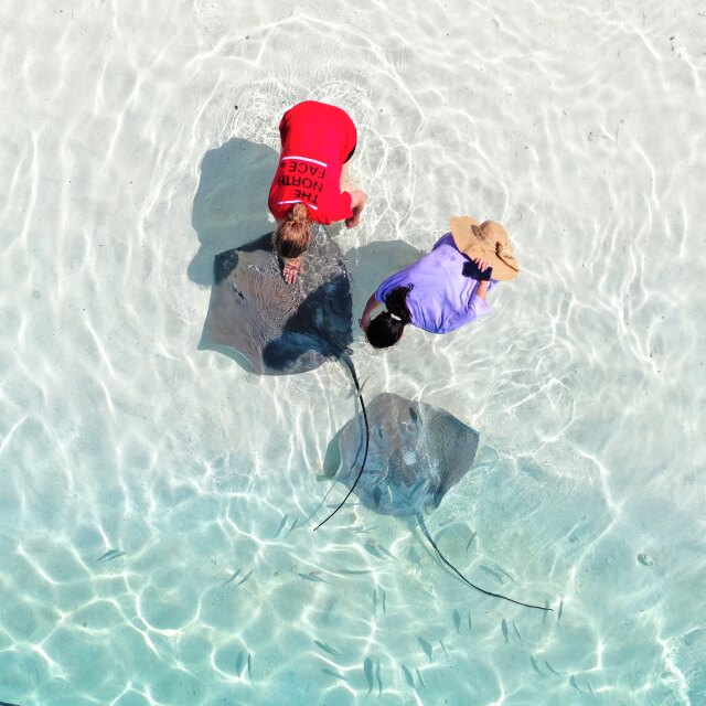 Escursione atollo Vaavu in the Maldives